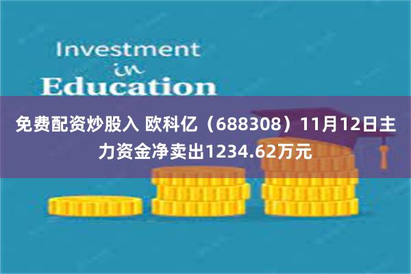 免费配资炒股入 欧科亿（688308）11月12日主力资金净卖出1234.62万元