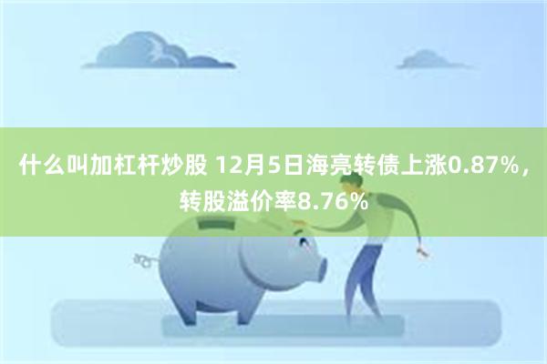 什么叫加杠杆炒股 12月5日海亮转债上涨0.87%，转股溢价率8.76%