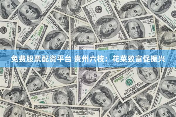 免费股票配资平台 贵州六枝：花菜致富促振兴