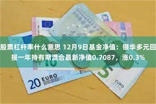 股票杠杆率什么意思 12月9日基金净值：银华多元回报一年持有期混合最新净值0.7087，涨0.3%