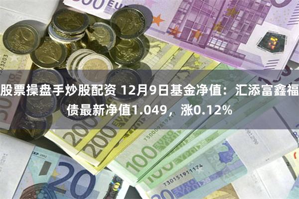 股票操盘手炒股配资 12月9日基金净值：汇添富鑫福债最新净值1.049，涨0.12%