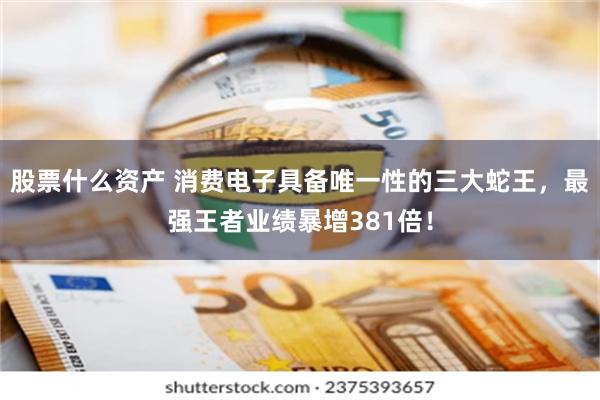 股票什么资产 消费电子具备唯一性的三大蛇王，最强王者业绩暴增381倍！