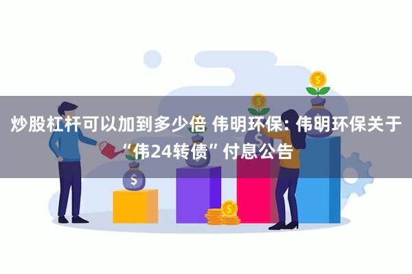 炒股杠杆可以加到多少倍 伟明环保: 伟明环保关于“伟24转债”付息公告