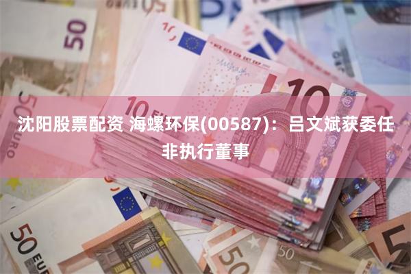 沈阳股票配资 海螺环保(00587)：吕文斌获委任非执行董事
