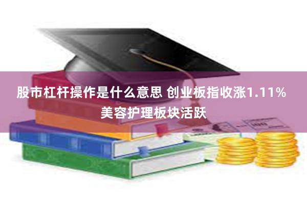 股市杠杆操作是什么意思 创业板指收涨1.11% 美容护理板块活跃