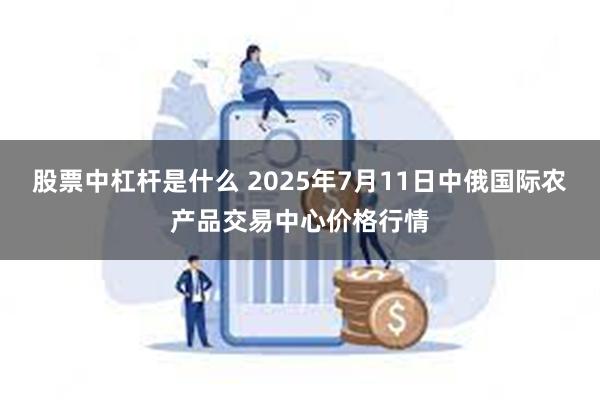 股票中杠杆是什么 2025年7月11日中俄国际农产品交易中心价格行情