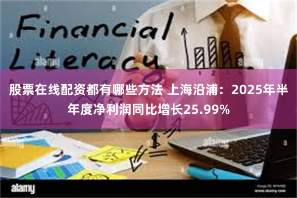 股票在线配资都有哪些方法 上海沿浦：2025年半年度净利润同比增长25.99%