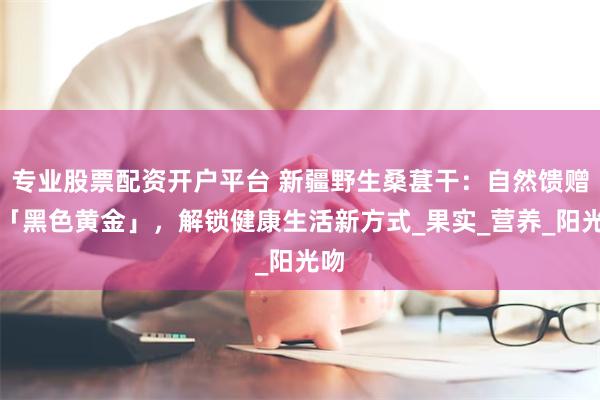 专业股票配资开户平台 新疆野生桑葚干：自然馈赠的「黑色黄金」，解锁健康生活新方式_果实_营养_阳光吻