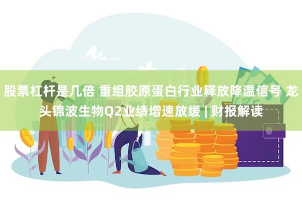 股票杠杆是几倍 重组胶原蛋白行业释放降温信号 龙头锦波生物Q2业绩增速放缓 | 财报解读